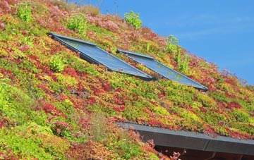 Cheadle Park living roof systems
