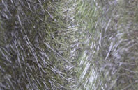 Cheadle Park fibreglass roof work